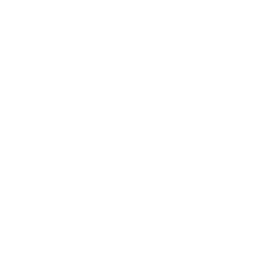 Vegán vegan
